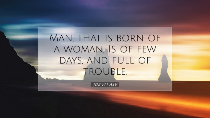 Picture 07 - Job 14:1 ASV Desktop Wallpaper - Man, that is born of a woman, Is of few days, and - Desktop Bible Verse Wallpaper