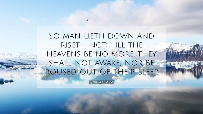 Picture 07 - Job 14:12 ASV Desktop Wallpaper - So man lieth down and riseth not: Till the - Desktop Bible Verse Wallpaper