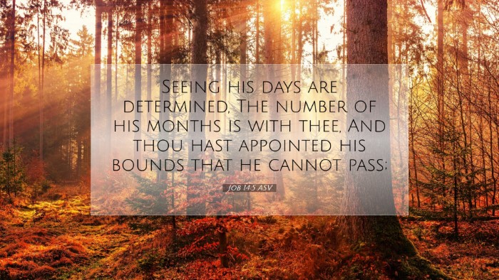 Picture 07 - Job 14:5 ASV Desktop Wallpaper - Seeing his days are determined, The number of his - Desktop Bible Verse Wallpaper