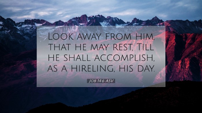 Picture 07 - Job 14:6 ASV Desktop Wallpaper - Look away from him, that he may rest, Till he - Desktop Bible Verse Wallpaper