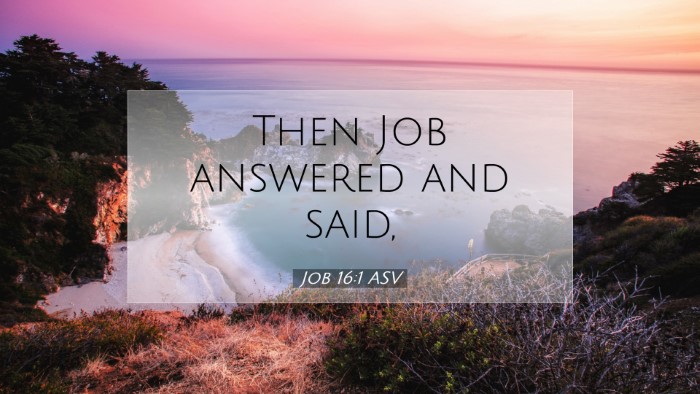Picture 07 - Job 16:1 ASV Desktop Wallpaper - Then Job answered and - Desktop Bible Verse Wallpaper