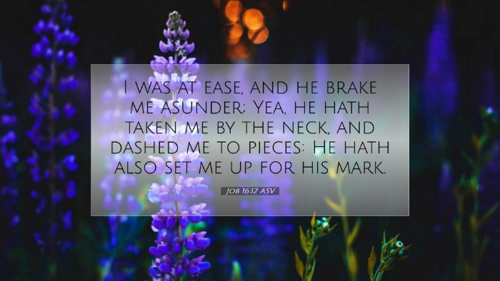 Picture 07 - Job 16:12 ASV Desktop Wallpaper - I was at ease, and he brake me asunder; Yea, he - Desktop Bible Verse Wallpaper