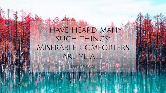 Picture 07 - Job 16:2 ASV Desktop Wallpaper - I have heard many such things: Miserable - Desktop Bible Verse Wallpaper