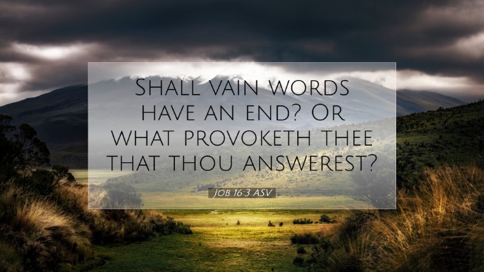 Picture 07 - Job 16:3 ASV Desktop Wallpaper - Shall vain words have an end? Or what provoketh - Desktop Bible Verse Wallpaper