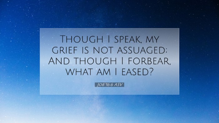 Picture 07 - Job 16:6 ASV Desktop Wallpaper - Though I speak, my grief is not assuaged; And - Desktop Bible Verse Wallpaper