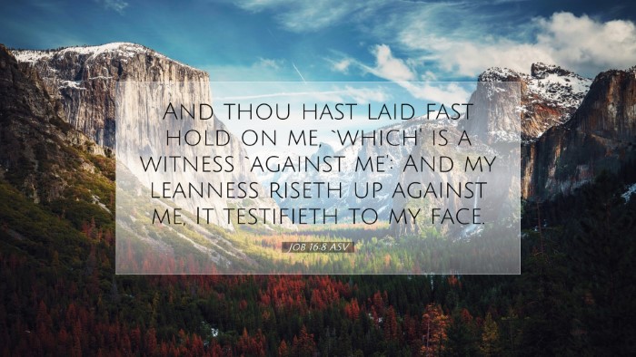 Picture 07 - Job 16:8 ASV Desktop Wallpaper - And thou hast laid fast hold on me, `which' is a - Desktop Bible Verse Wallpaper