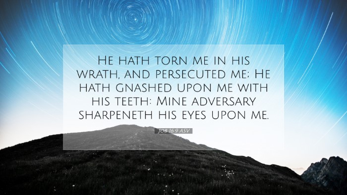 Picture 07 - Job 16:9 ASV Desktop Wallpaper - He hath torn me in his wrath, and persecuted me; - Desktop Bible Verse Wallpaper