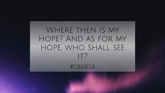Picture 07 - Job 17:15 ASV Desktop Wallpaper - Where then is my hope? And as for my hope, who - Desktop Bible Verse Wallpaper