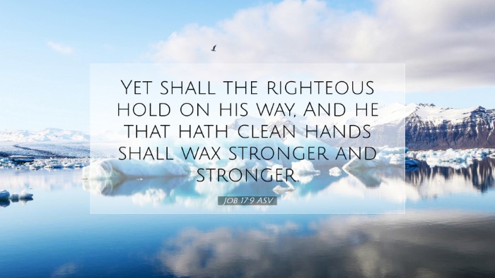 Picture 07 - Job 17:9 ASV Desktop Wallpaper - Yet shall the righteous hold on his way, And he - Desktop Bible Verse Wallpaper