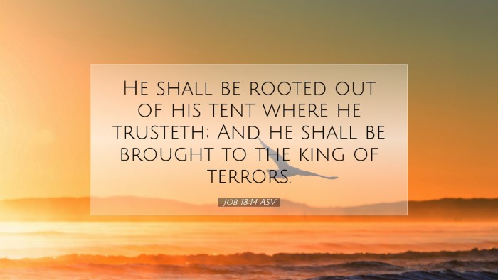 Picture 07 - Job 18:14 ASV Desktop Wallpaper - He shall be rooted out of his tent where he - Desktop Bible Verse Wallpaper