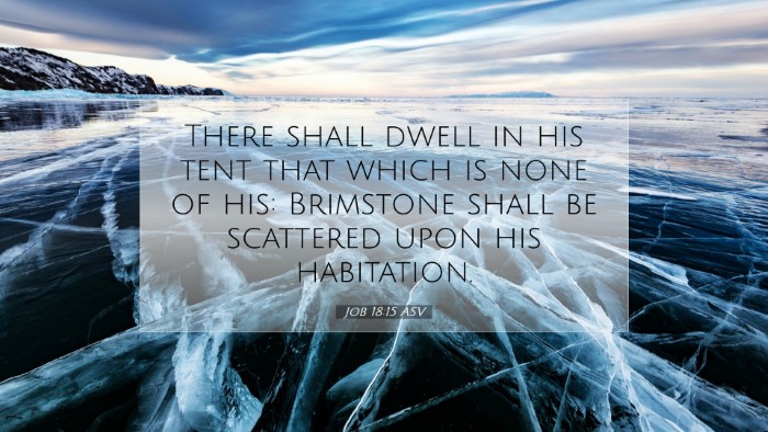 Picture 07 - Job 18:15 ASV Desktop Wallpaper - There shall dwell in his tent that which is none - Desktop Bible Verse Wallpaper