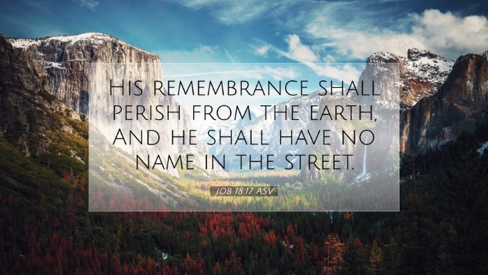 Picture 07 - Job 18:17 ASV Desktop Wallpaper - His remembrance shall perish from the earth, And - Desktop Bible Verse Wallpaper