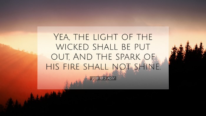 Picture 07 - Job 18:5 ASV Desktop Wallpaper - Yea, the light of the wicked shall be put out, - Desktop Bible Verse Wallpaper