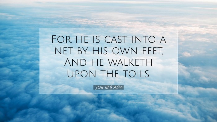 Picture 07 - Job 18:8 ASV Desktop Wallpaper - For he is cast into a net by his own feet, And he - Desktop Bible Verse Wallpaper