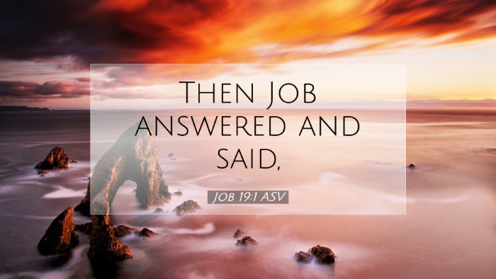Picture 07 - Job 19:1 ASV Desktop Wallpaper - Then Job answered and - Desktop Bible Verse Wallpaper