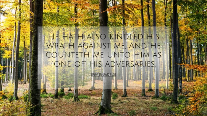 Picture 07 - Job 19:11 ASV Desktop Wallpaper - He hath also kindled his wrath against me, And he - Desktop Bible Verse Wallpaper