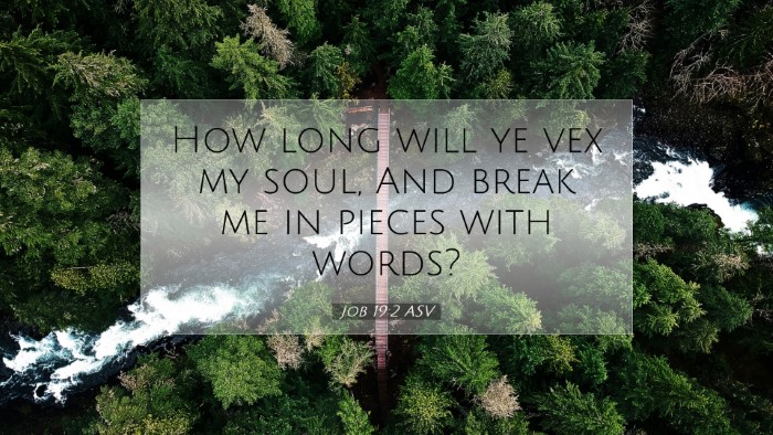 Picture 07 - Job 19:2 ASV Desktop Wallpaper - How long will ye vex my soul, And break me in - Desktop Bible Verse Wallpaper