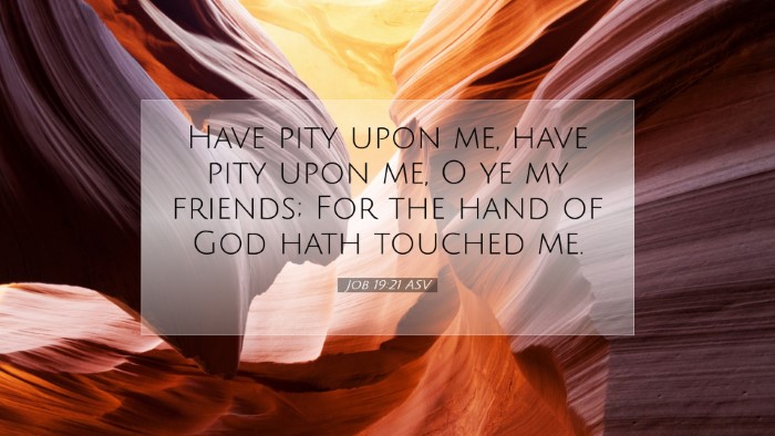 Picture 07 - Job 19:21 ASV Desktop Wallpaper - Have pity upon me, have pity upon me, O ye my - Desktop Bible Verse Wallpaper