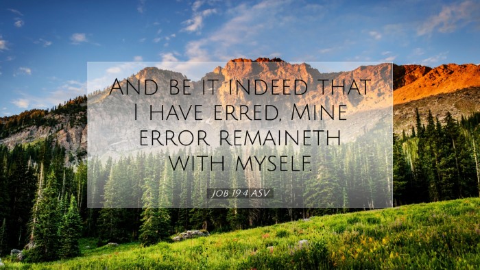 Picture 07 - Job 19:4 ASV Desktop Wallpaper - And be it indeed that I have erred, Mine error - Desktop Bible Verse Wallpaper