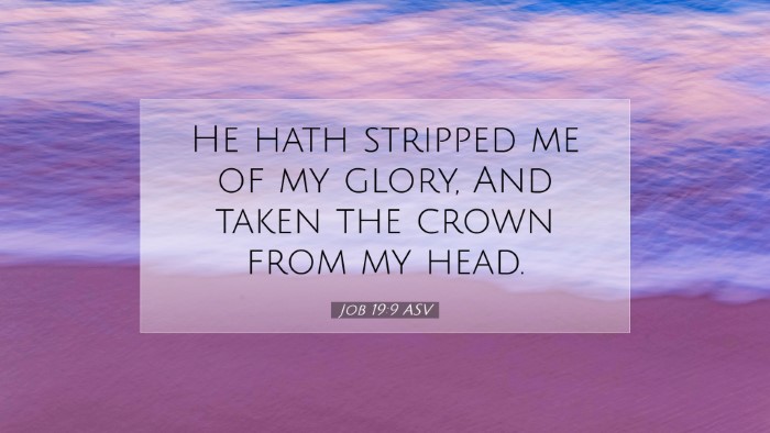 Picture 07 - Job 19:9 ASV Desktop Wallpaper - He hath stripped me of my glory, And taken the - Desktop Bible Verse Wallpaper