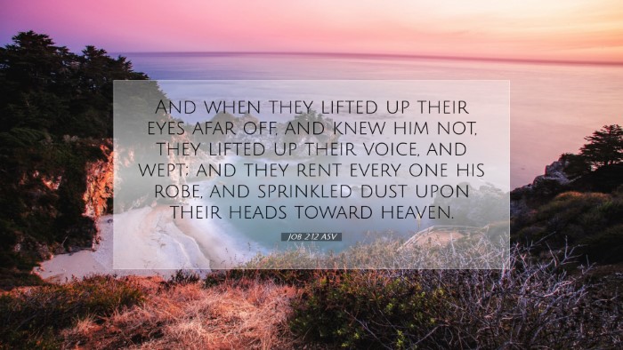 Picture 07 - Job 2:12 ASV Desktop Wallpaper - And when they lifted up their eyes afar off, and - Desktop Bible Verse Wallpaper