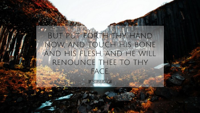 Picture 07 - Job 2:5 ASV Desktop Wallpaper - But put forth thy hand now, and touch his bone - Desktop Bible Verse Wallpaper