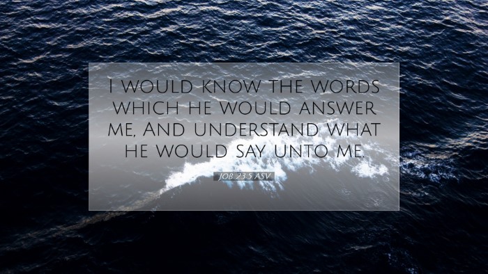 Picture 07 - Job 23:5 ASV Desktop Wallpaper - I would know the words which he would answer me, - Desktop Bible Verse Wallpaper