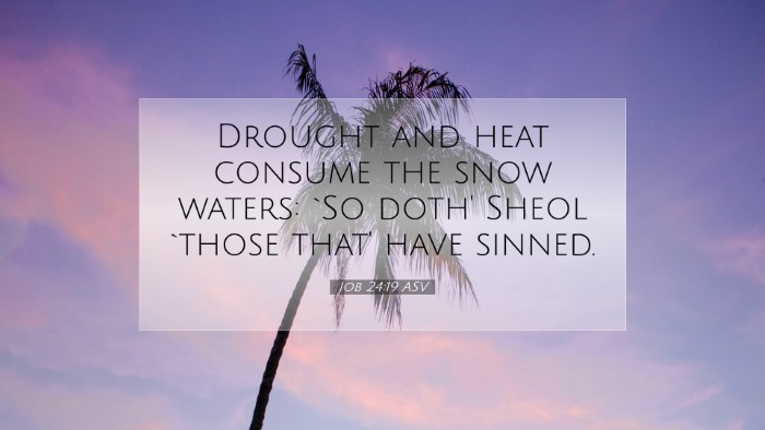 Picture 07 - Job 24:19 ASV Desktop Wallpaper - Drought and heat consume the snow waters: `So - Desktop Bible Verse Wallpaper