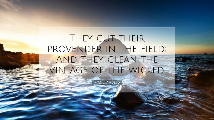 Picture 07 - Job 24:6 ASV Desktop Wallpaper - They cut their provender in the field; And they - Desktop Bible Verse Wallpaper