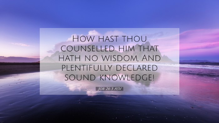 Picture 07 - Job 26:3 ASV Desktop Wallpaper - How hast thou counselled him that hath no wisdom, - Desktop Bible Verse Wallpaper