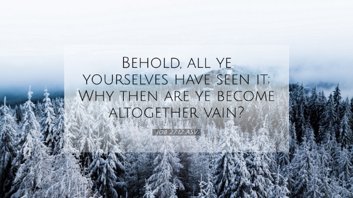 Picture 07 - Job 27:12 ASV Desktop Wallpaper - Behold, all ye yourselves have seen it; Why then - Desktop Bible Verse Wallpaper