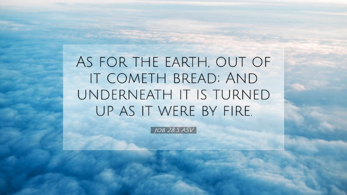 Picture 07 - Job 28:5 ASV Desktop Wallpaper - As for the earth, out of it cometh bread; And - Desktop Bible Verse Wallpaper