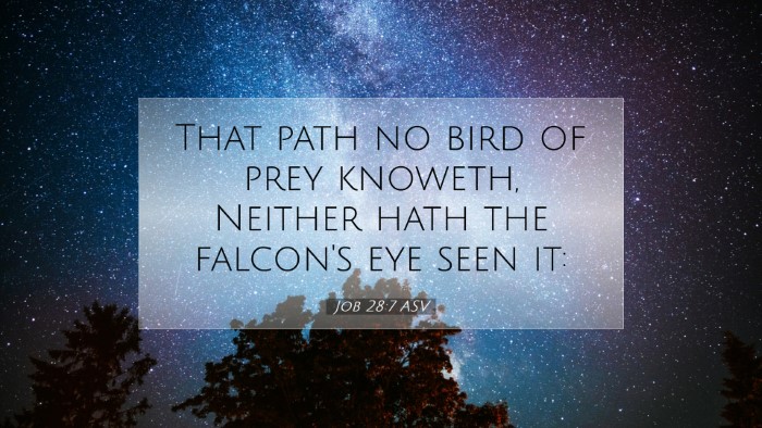 Picture 07 - Job 28:7 ASV Desktop Wallpaper - That path no bird of prey knoweth, Neither hath - Desktop Bible Verse Wallpaper