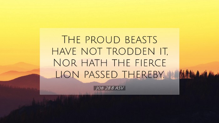 Picture 07 - Job 28:8 ASV Desktop Wallpaper - The proud beasts have not trodden it, Nor hath - Desktop Bible Verse Wallpaper