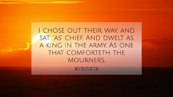 Picture 07 - Job 29:25 ASV Desktop Wallpaper - I chose out their way, and sat `as' chief, And - Desktop Bible Verse Wallpaper