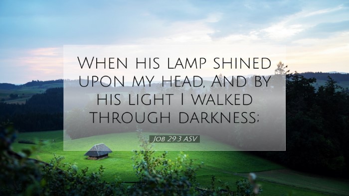 Picture 07 - Job 29:3 ASV Desktop Wallpaper - When his lamp shined upon my head, And by his - Desktop Bible Verse Wallpaper