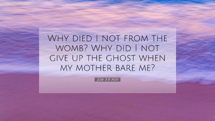 Picture 07 - Job 3:11 ASV Desktop Wallpaper - Why died I not from the womb? Why did I not give - Desktop Bible Verse Wallpaper