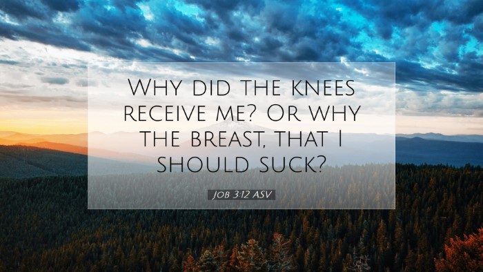 Picture 07 - Job 3:12 ASV Desktop Wallpaper - Why did the knees receive me? Or why the breast, - Desktop Bible Verse Wallpaper