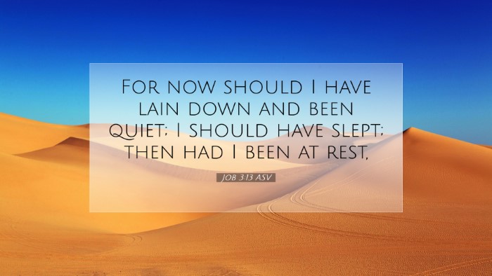 Picture 07 - Job 3:13 ASV Desktop Wallpaper - For now should I have lain down and been quiet; I - Desktop Bible Verse Wallpaper