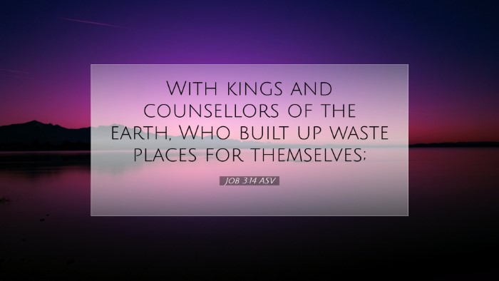 Picture 07 - Job 3:14 ASV Desktop Wallpaper - With kings and counsellors of the earth, Who - Desktop Bible Verse Wallpaper