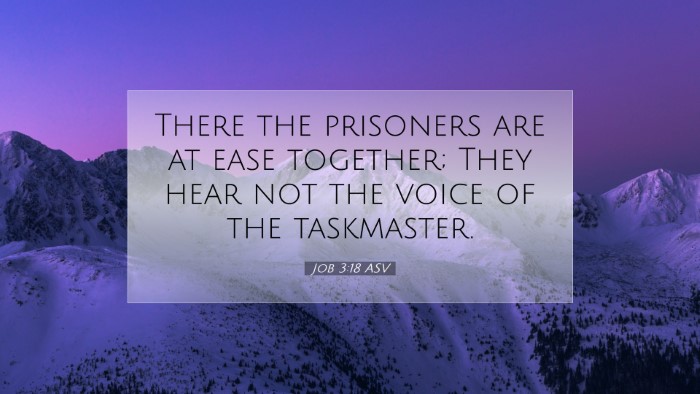 Picture 07 - Job 3:18 ASV Desktop Wallpaper - There the prisoners are at ease together; They - Desktop Bible Verse Wallpaper