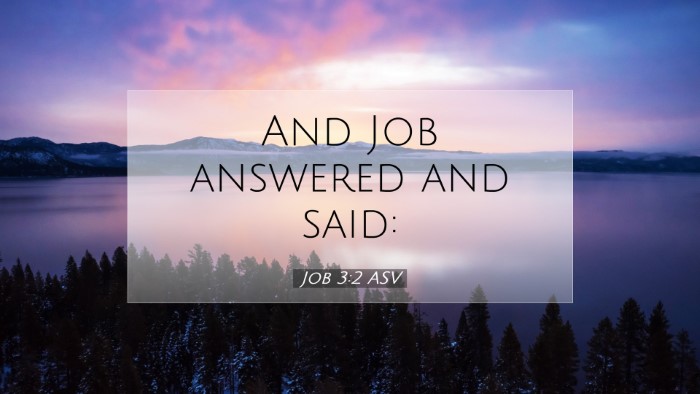 Picture 07 - Job 3:2 ASV Desktop Wallpaper - And Job answered and - Desktop Bible Verse Wallpaper