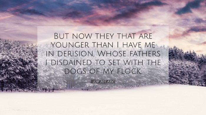 Picture 07 - Job 30:1 ASV Desktop Wallpaper - But now they that are younger than I have me in - Desktop Bible Verse Wallpaper