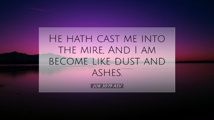 Picture 07 - Job 30:19 ASV Desktop Wallpaper - He hath cast me into the mire, And I am become - Desktop Bible Verse Wallpaper