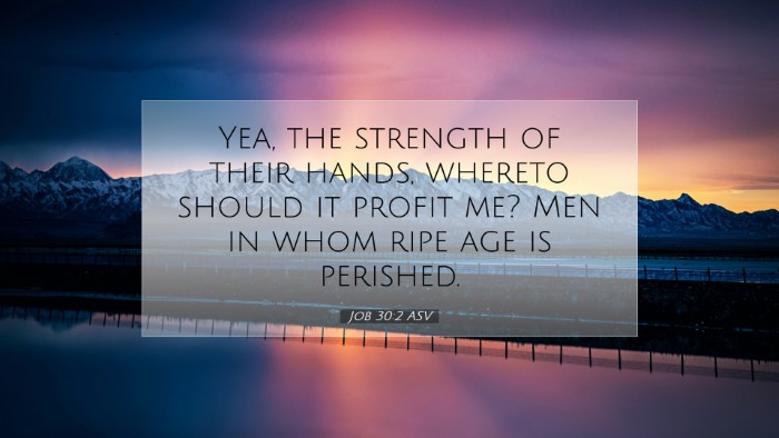 Picture 07 - Job 30:2 ASV Desktop Wallpaper - Yea, the strength of their hands, whereto should - Desktop Bible Verse Wallpaper