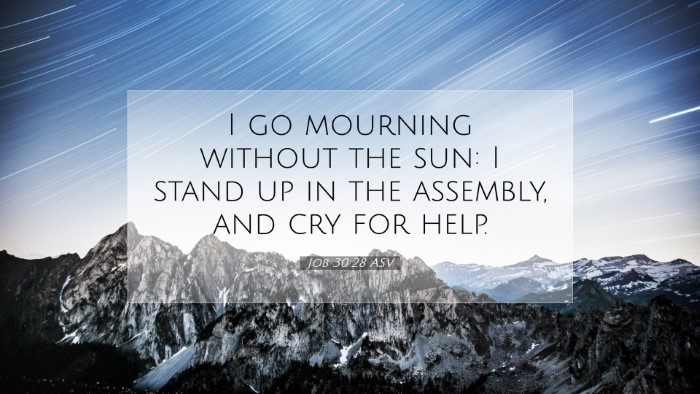 Picture 07 - Job 30:28 ASV Desktop Wallpaper - I go mourning without the sun: I stand up in the - Desktop Bible Verse Wallpaper