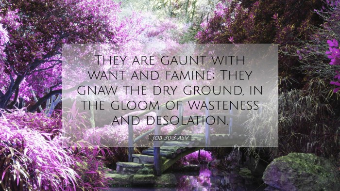 Picture 07 - Job 30:3 ASV Desktop Wallpaper - They are gaunt with want and famine; They gnaw - Desktop Bible Verse Wallpaper