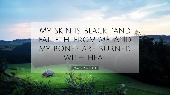 Picture 07 - Job 30:30 ASV Desktop Wallpaper - My skin is black, `and falleth' from me, And my - Desktop Bible Verse Wallpaper