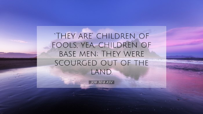 Picture 07 - Job 30:8 ASV Desktop Wallpaper - `They are' children of fools, yea, children of - Desktop Bible Verse Wallpaper