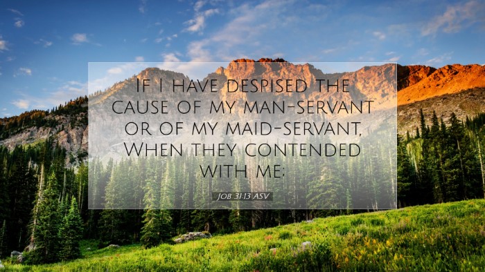Picture 07 - Job 31:13 ASV Desktop Wallpaper - If I have despised the cause of my man-servant or - Desktop Bible Verse Wallpaper